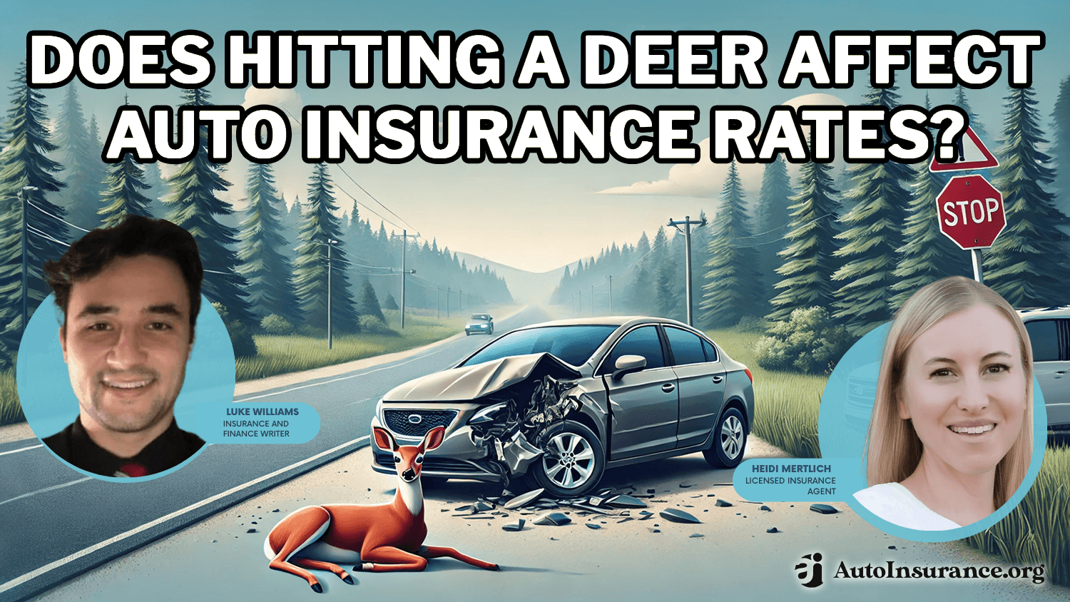 Does hitting a deer affect auto insurance rates?