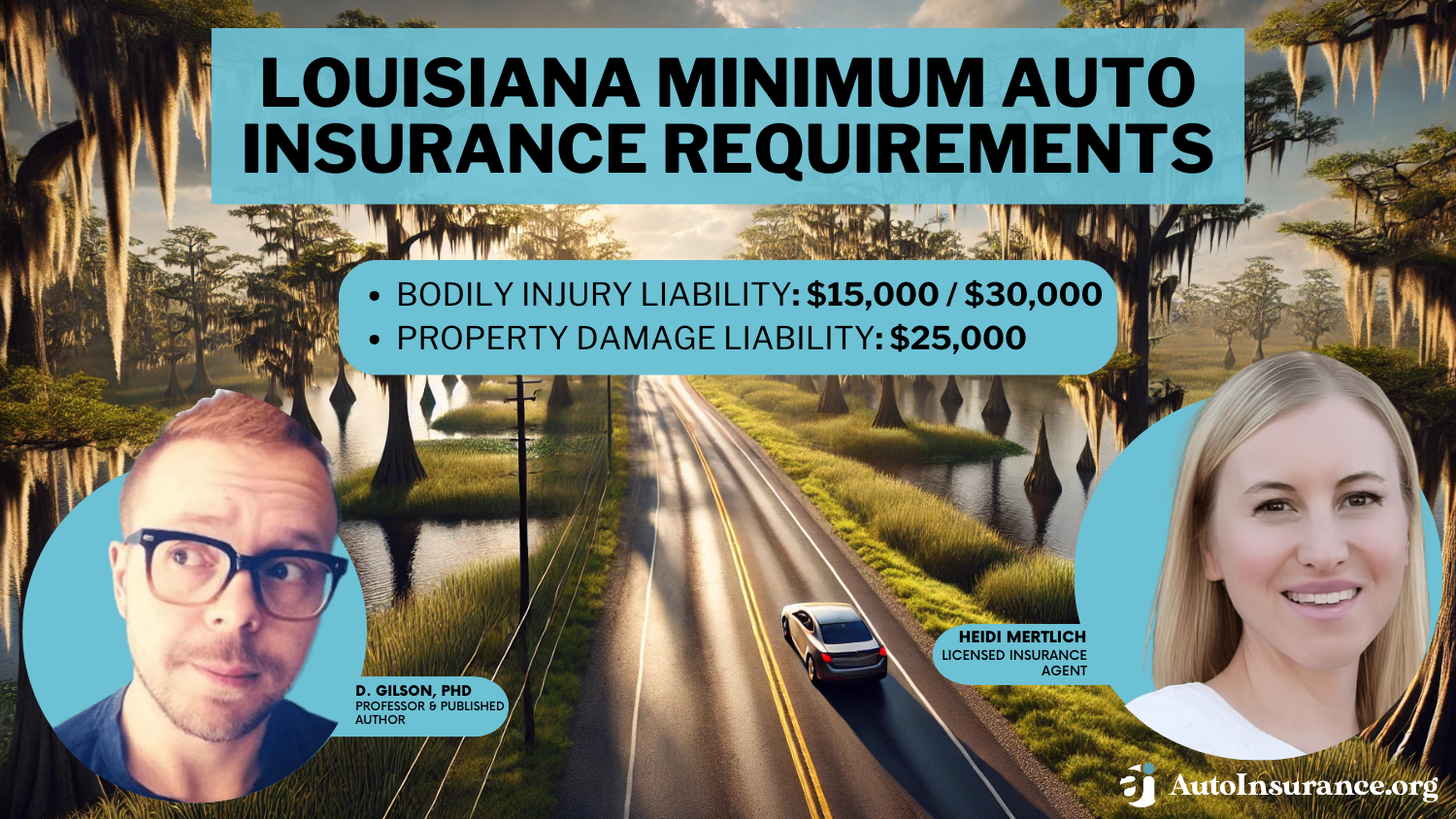 Louisiana Minimum Auto Insurance Requirements