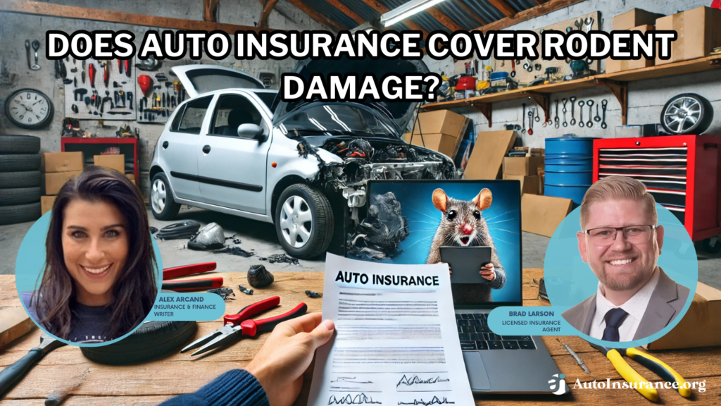 does auto insurance cover rodent damage?